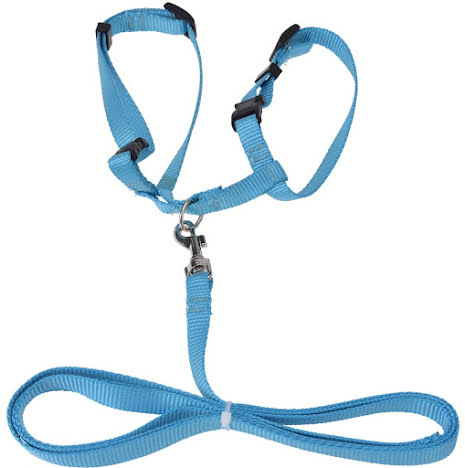 Holiday Kattesele med snor blandede farver