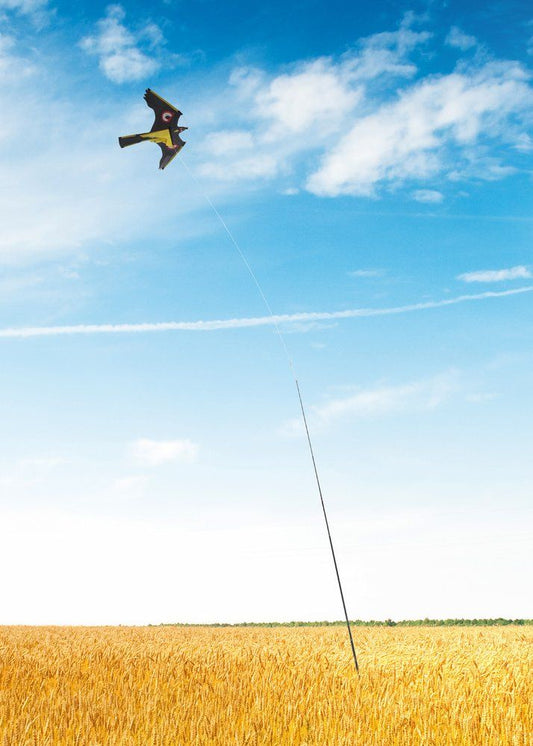 Tarmo Fugleskremsel drage 140x70 cm