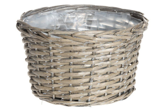 Winteria Korgkruka av pil 3-pack