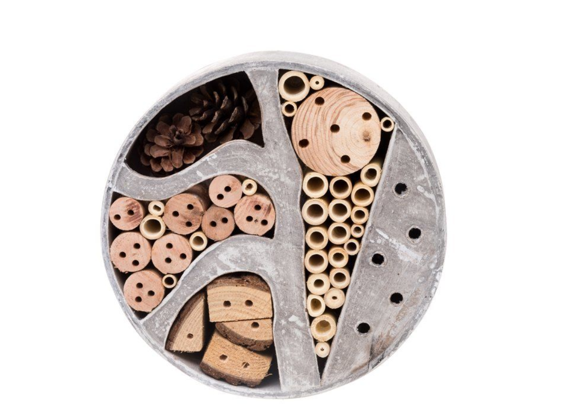 Tarmo Insektshotell, runt