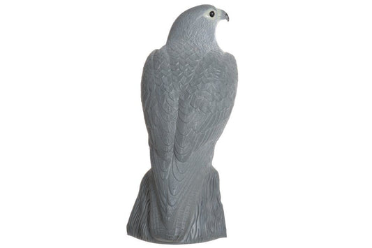 Fågelskrämma, örn