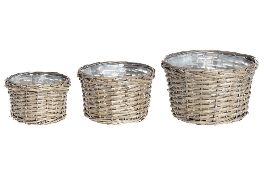 Winteria Korgkruka av pil 3-pack