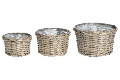 Winteria Korgkruka av pil 3-pack