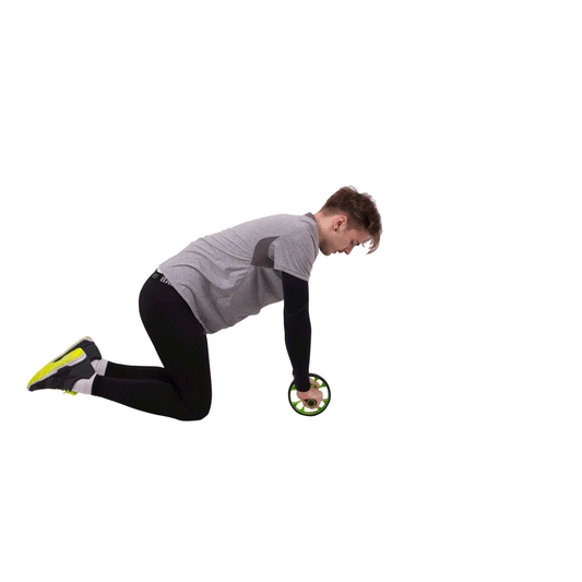 PowerGym Power Wheell for strength training