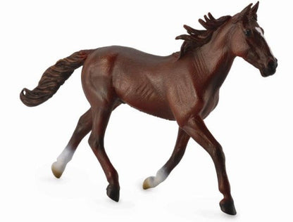 STANDARDBREDDE PASSENDE, HJESTEKASSTANNE BRUN - XL - 88644