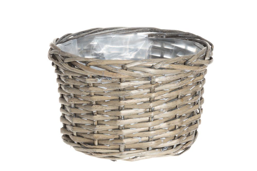 Winteria Korgkruka av pil 3-pack