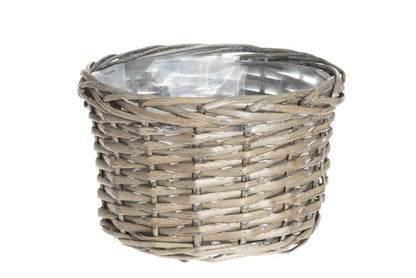 Winteria Korgkruka av pil 3-pack