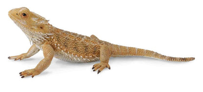 Collecta Almindelig skægagame - L - 88567