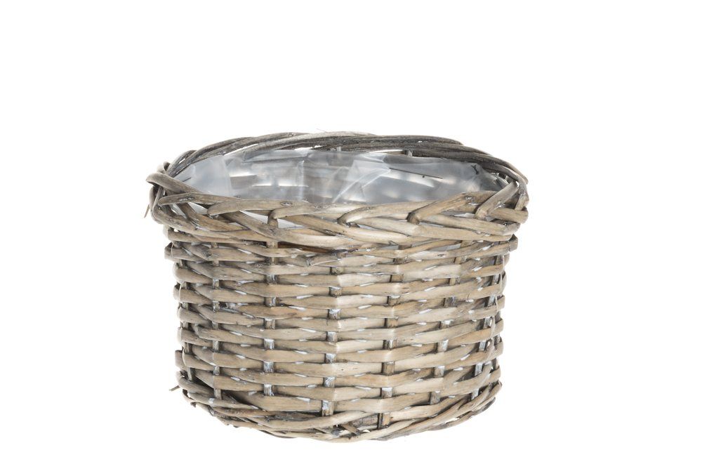 Winteria Korgkruka av pil 3-pack