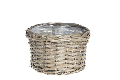 Winteria Korgkruka av pil 3-pack