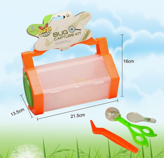 Bugs World Insektlåda med utrustning (22x16cm)